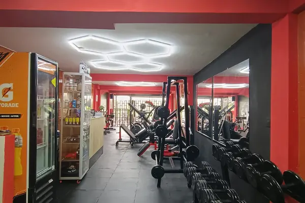 Rack completo de mancuernas
